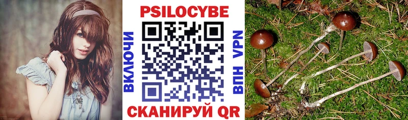 Псилоцибиновые грибы мухоморы  даркнет сайт  Апрелевка 